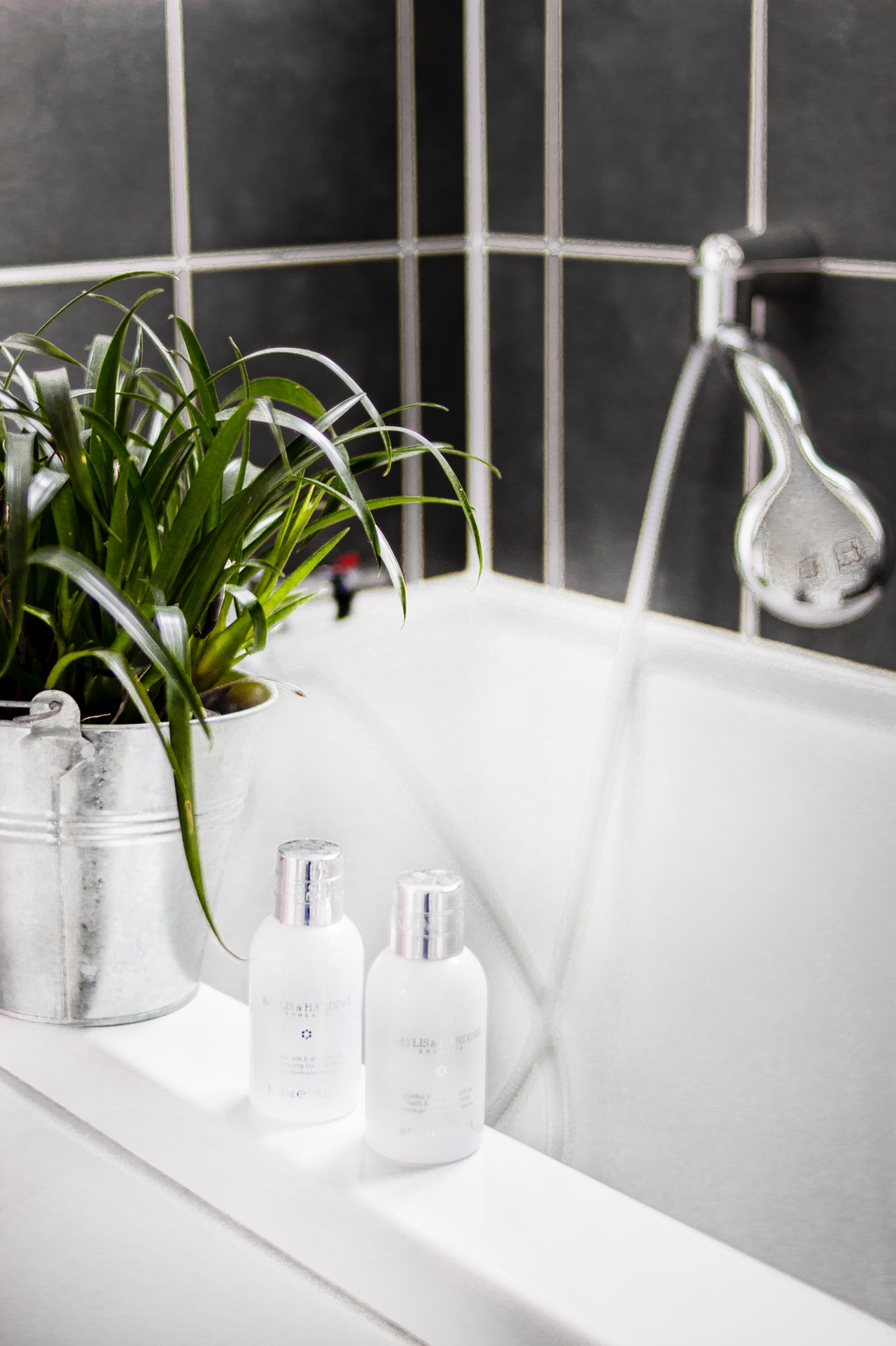 Photo of two white bottles beside potted plant on bathtub